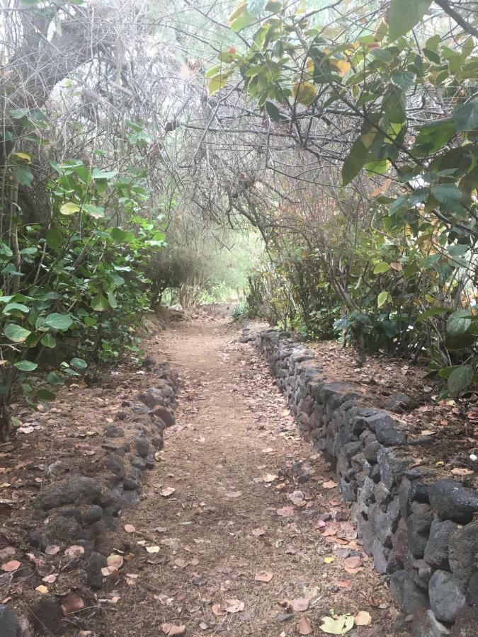 Urbanizacion Playa Chica Daire Santa Cruz de Tenerife Dış mekan fotoğraf